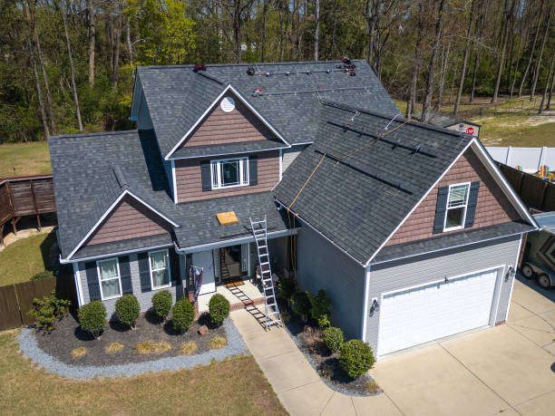 Best Roof Moss and Algae Removal  in Crescent Springs, KY