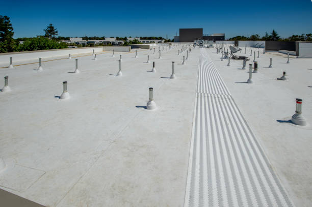 Best Roof Maintenance and Cleaning  in Crescent Springs, KY